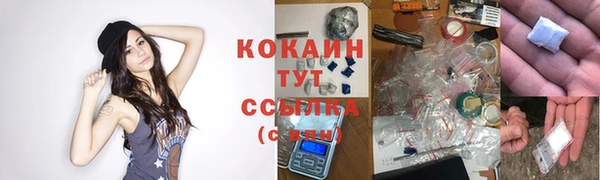 jwh Гусь-Хрустальный