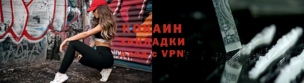 таблы Гусев