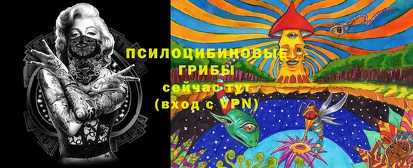MDMA Premium VHQ Гусиноозёрск