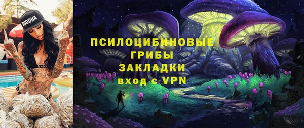 таблы Гусев