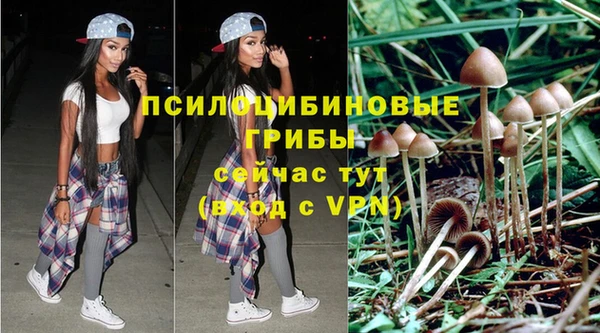 MDMA Premium VHQ Гусиноозёрск