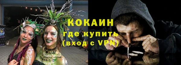 таблы Гусев