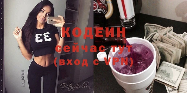 таблы Гусев